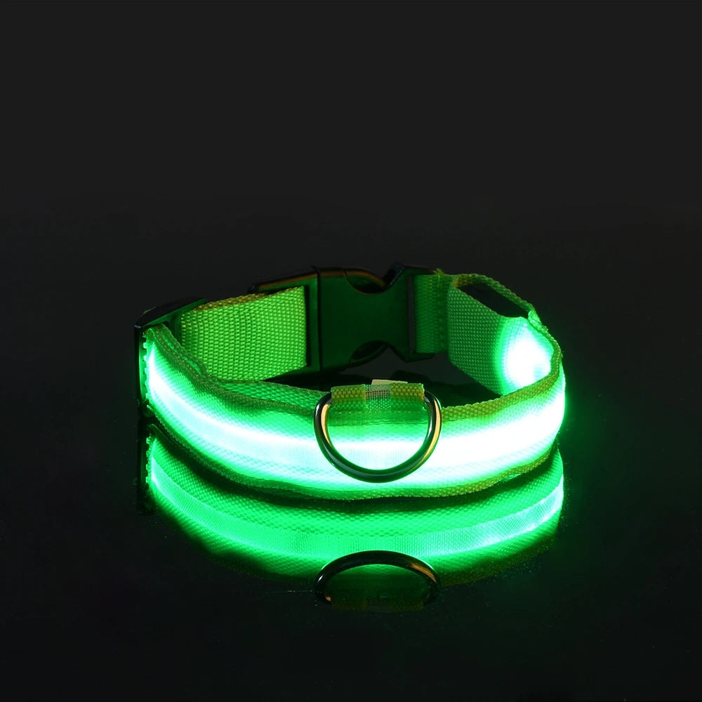 Nylon LED Luminous Fluorescent Pet Dog Collar