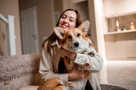 All-In-One Care for Every Paw