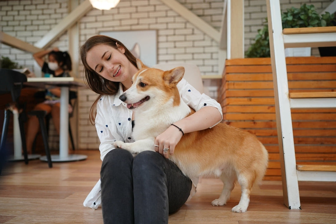Complete Care for Every Companion