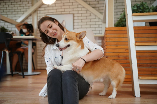 Complete Care for Every Companion