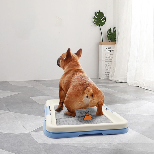 Portable Dog Indoor  Toilet Trainingf