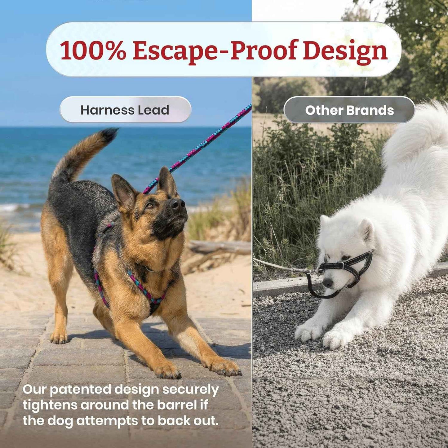 No Pull Dog Harness and Leash Set, anti Pull Dog Harness, One-Piece Cushioned Rope Safely Prevents Escaping and Pulling (Small/Medium, Red/Reflective)