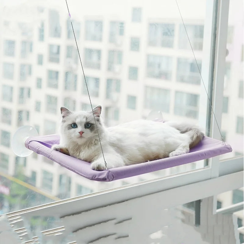 Hanging Cat Hammock Bed