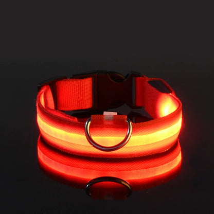 Nylon LED Luminous Fluorescent Pet Dog Collar