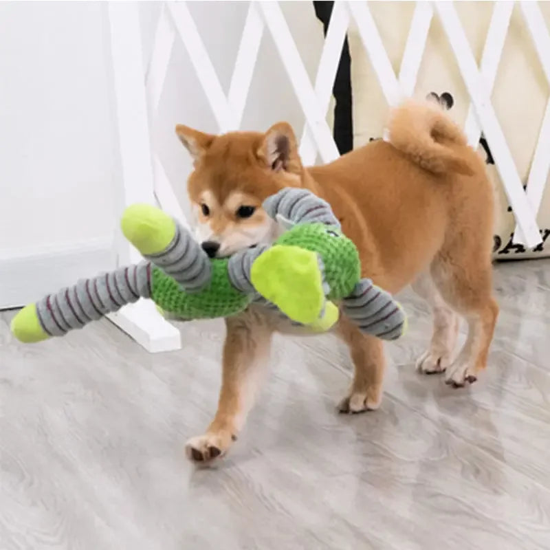 Animal Shape Chew & Dental Training Toy
