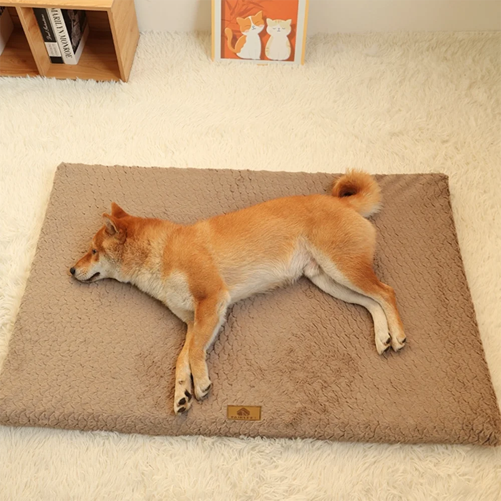 3D Foam Orthopedic Dog Bed