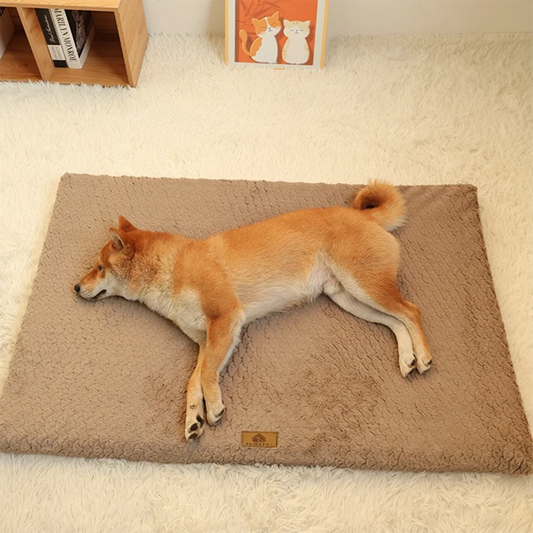 3D Foam Orthopedic Dog Bed