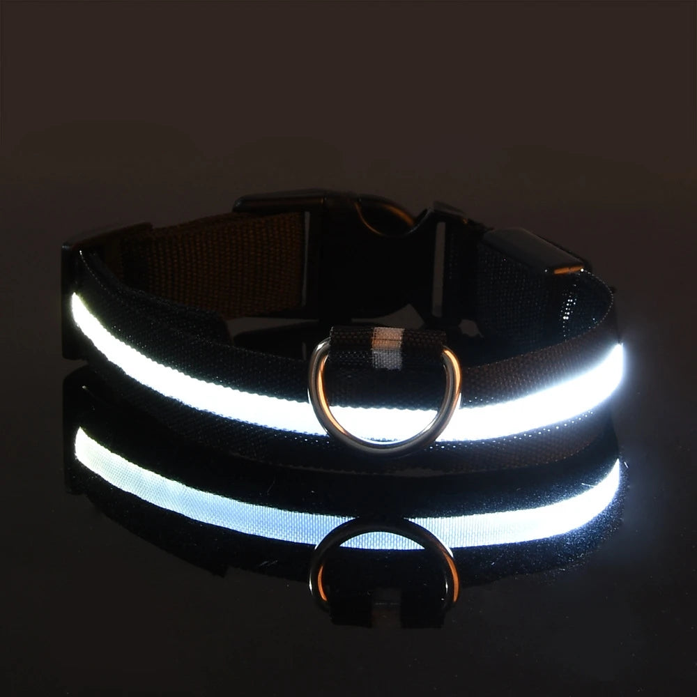 Nylon LED Luminous Fluorescent Pet Dog Collar