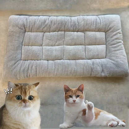 Thickened Super Soft Plush Mat