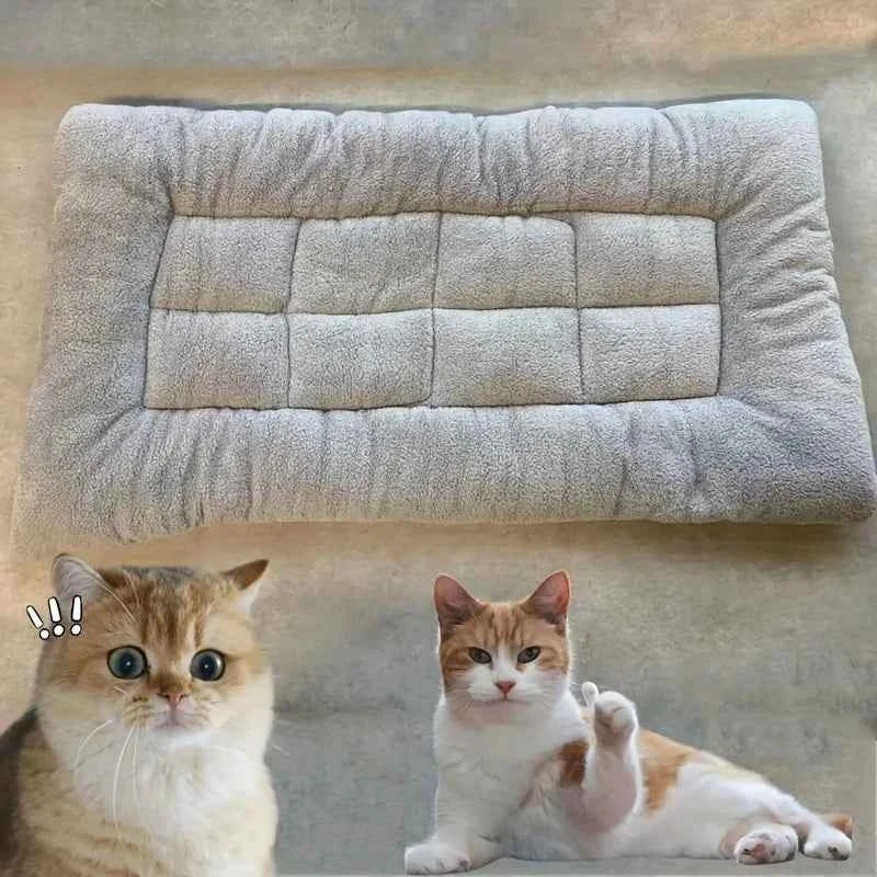 Thickened Super Soft Plush Mat