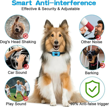 USB Rechargeable Dogs Training Anti-Bark Collar