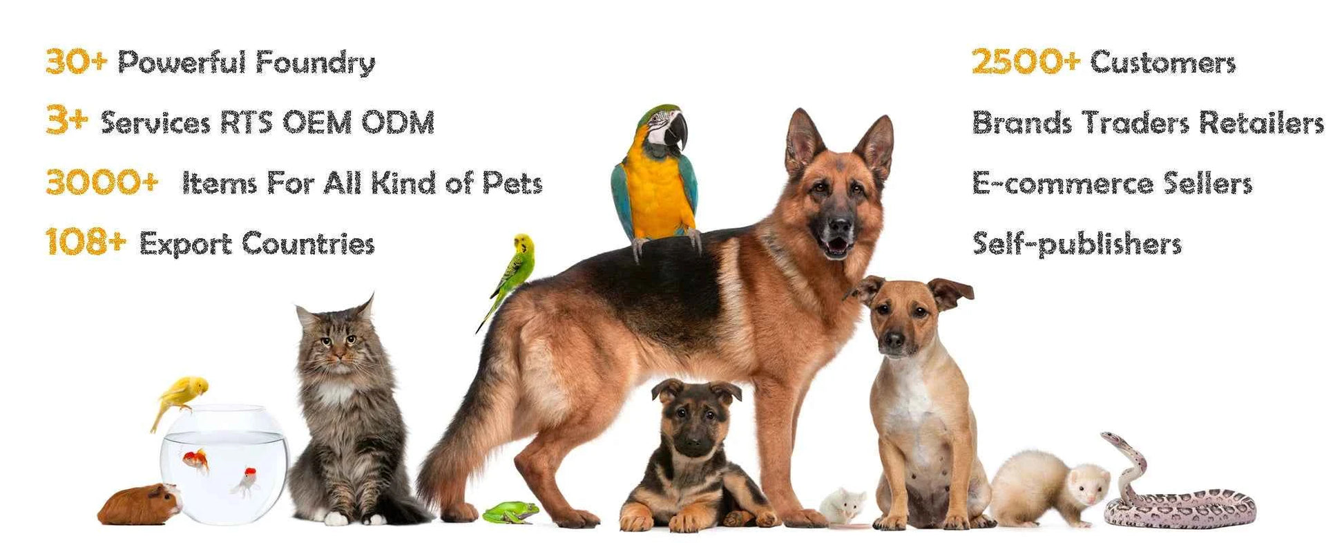 Customizable Wooden Pet Carrier Furniture Furniture Style Dog Crate End Table Hidden Box Furniture