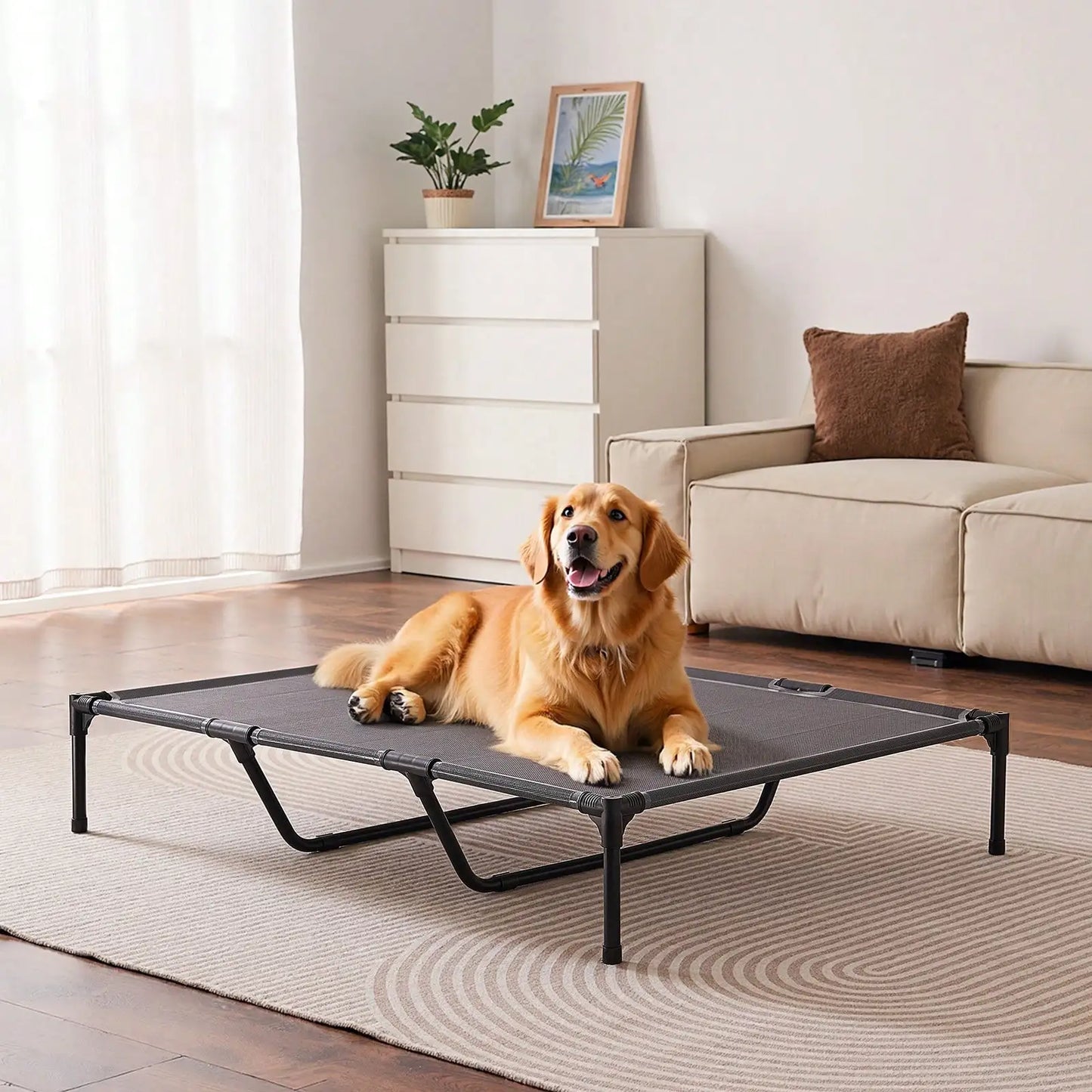 Elevated Dog Bed for Large Dogs