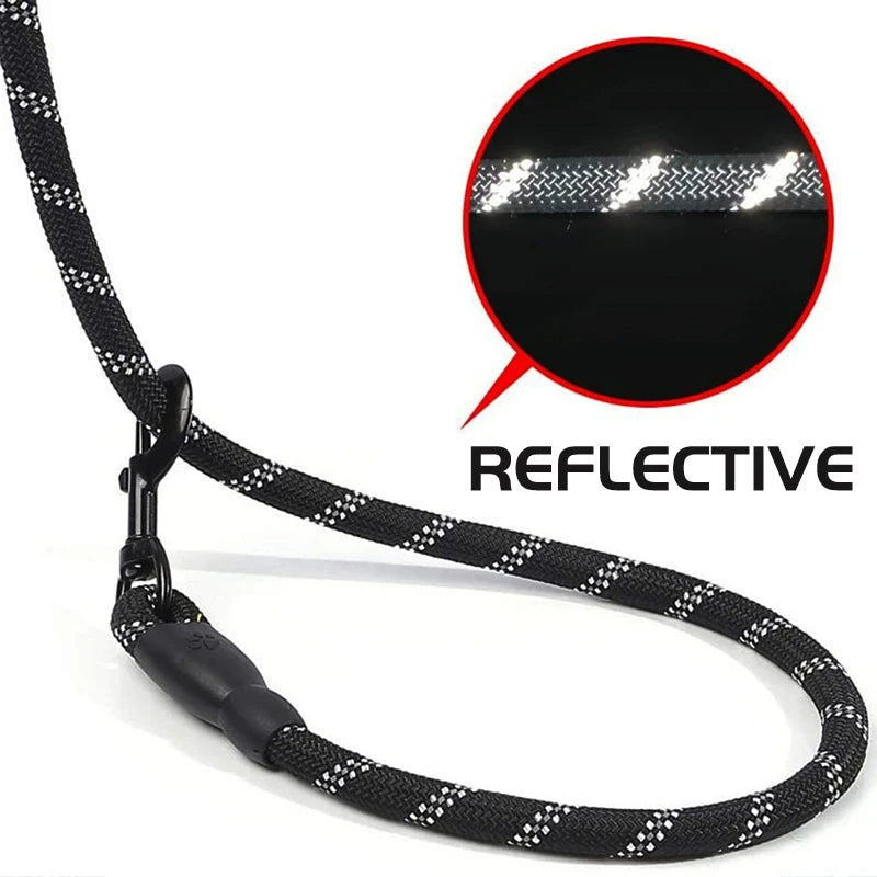 Reflective Dog Leash With Padded Handle