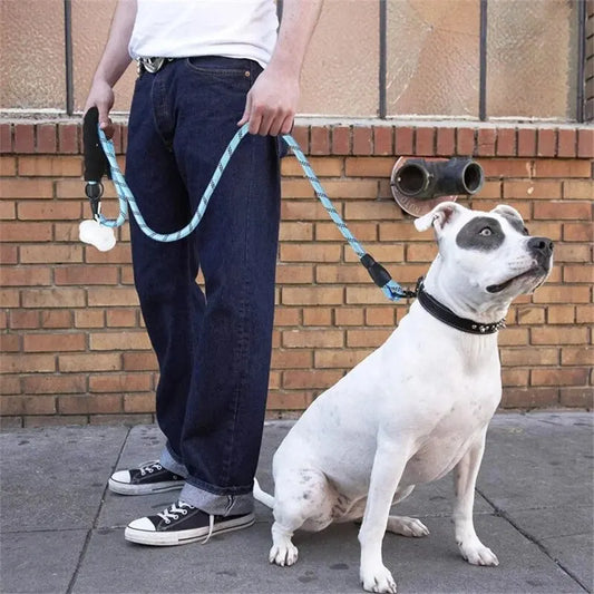 Reflective Dog Leash With Padded Handle