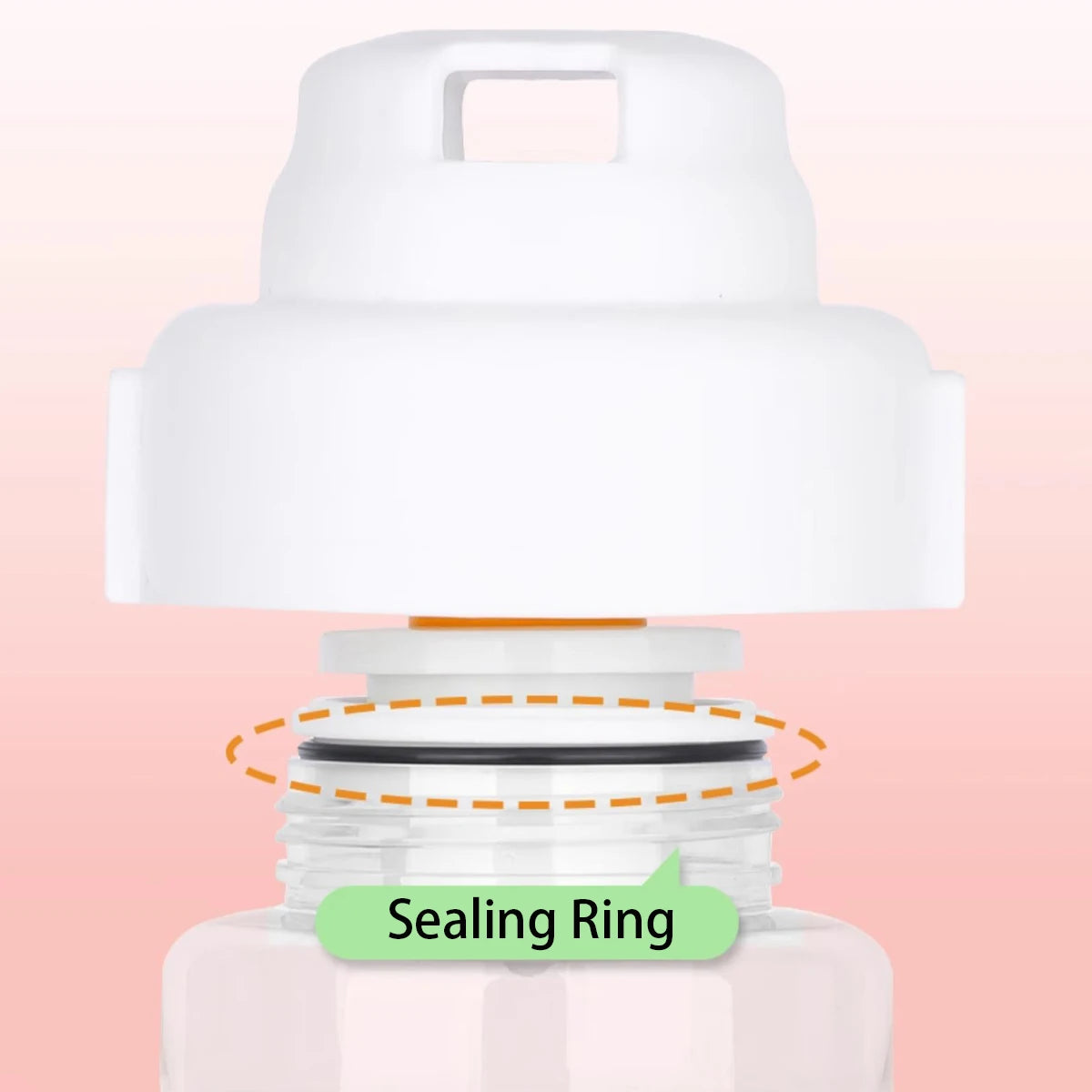 2-in-1 Food & Water Travel Feeder