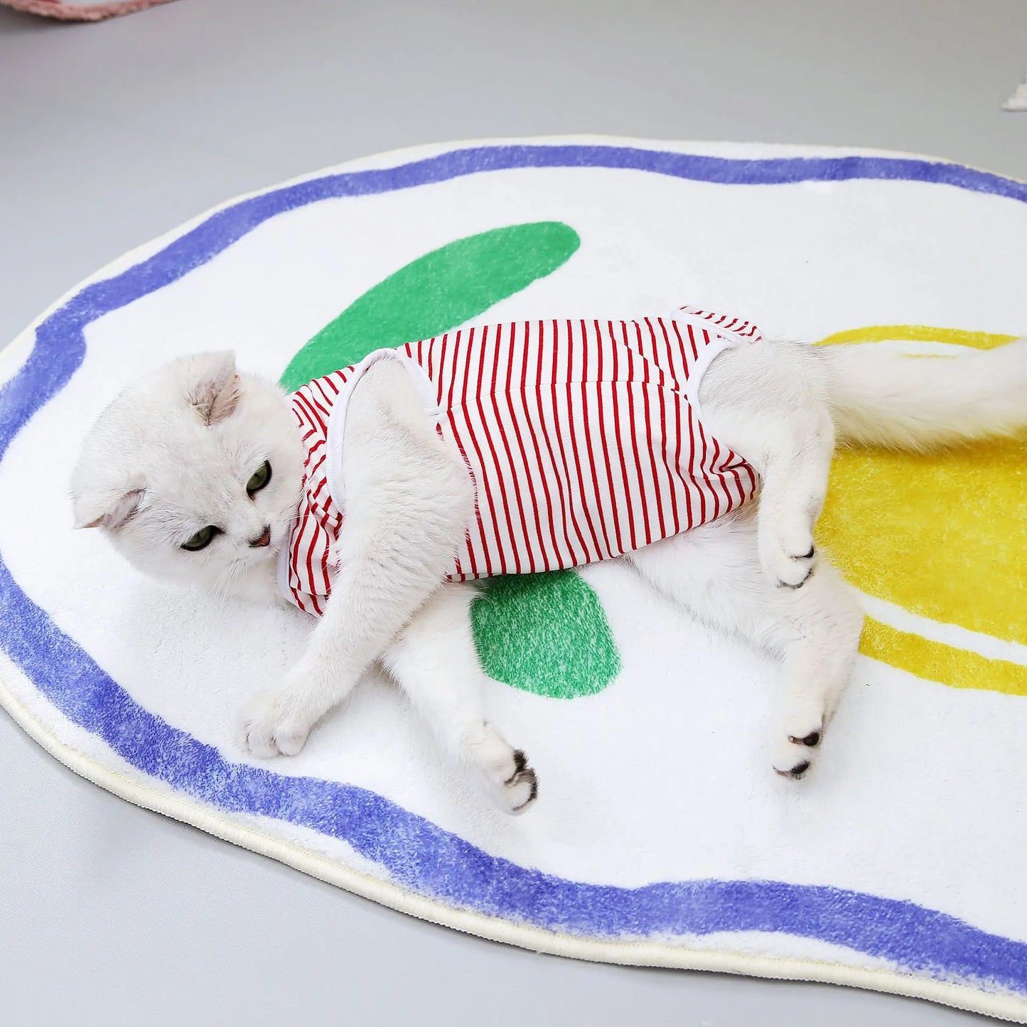 Striped Cat Sterilization Cat Suit