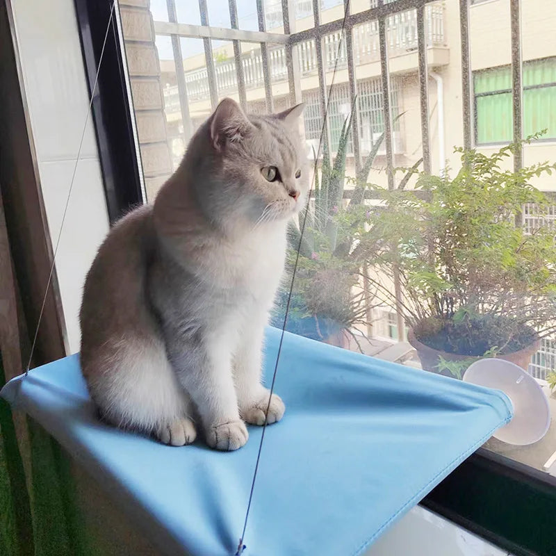 Hanging Cat Hammock Bed