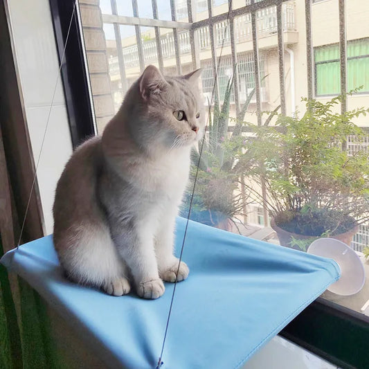 Hanging Cat Hammock Bed