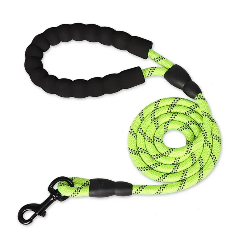 Reflective Dog Leash With Padded Handle