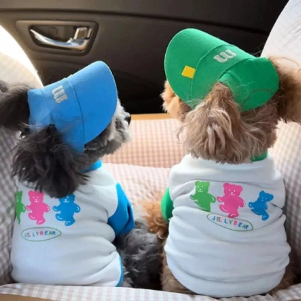 Embroidered Summer Sun Hat for Dogs