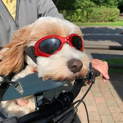 Foldable Pet Dog Goggles