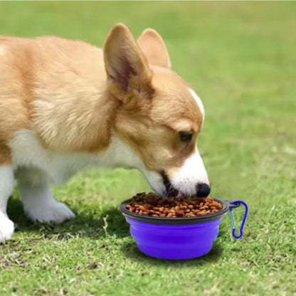 Portable Silicone Food & Water Bowl for Pets