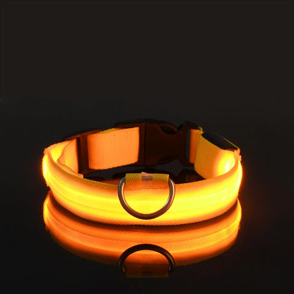 Nylon LED Luminous Fluorescent Pet Dog Collar