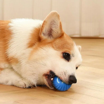 USB Rechargeable Automatic Moving Dog Toy Ball