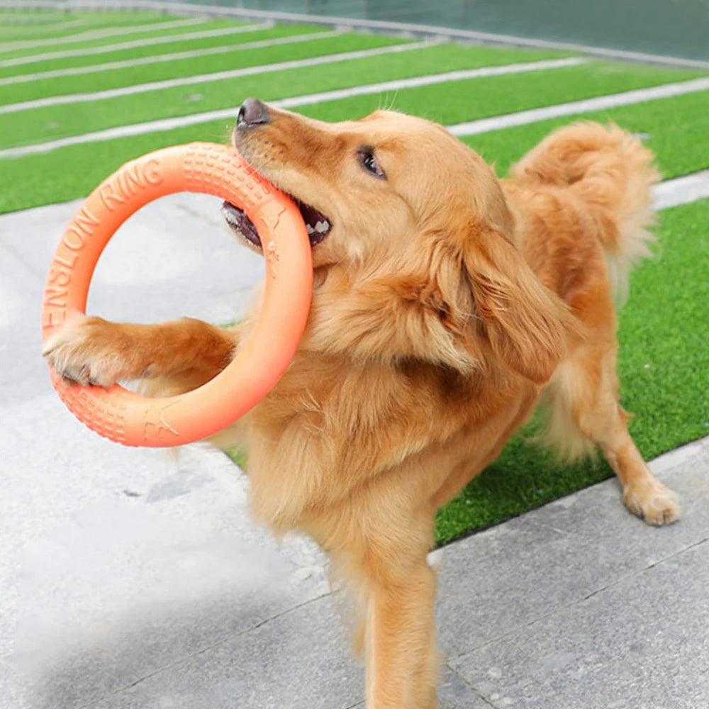 Pet Flying Ring Disk toys