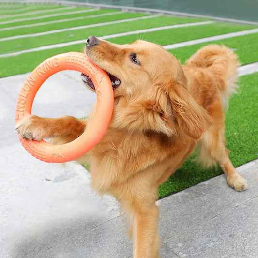 Pet Flying Ring Disk toys