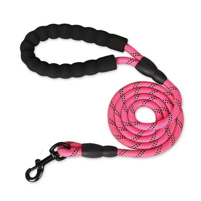 Reflective Dog Leash With Padded Handle
