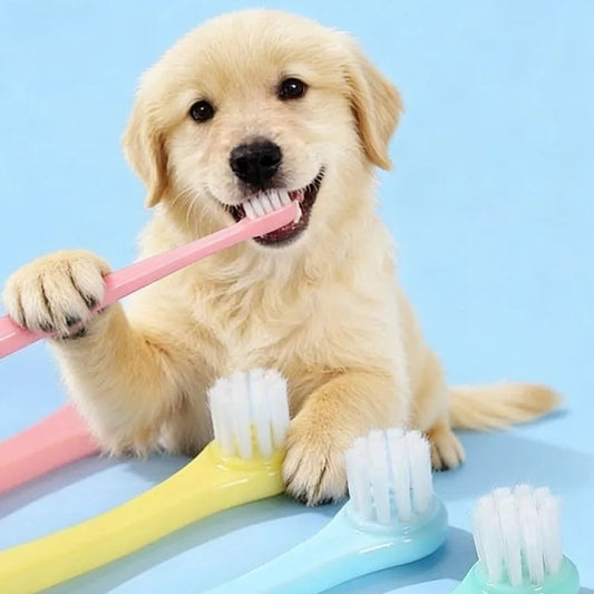 Micro Head Pet Toothbrush
