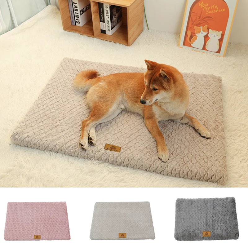 3D Foam Orthopedic Dog Bed