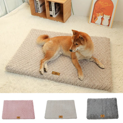 3D Foam Orthopedic Dog Bed