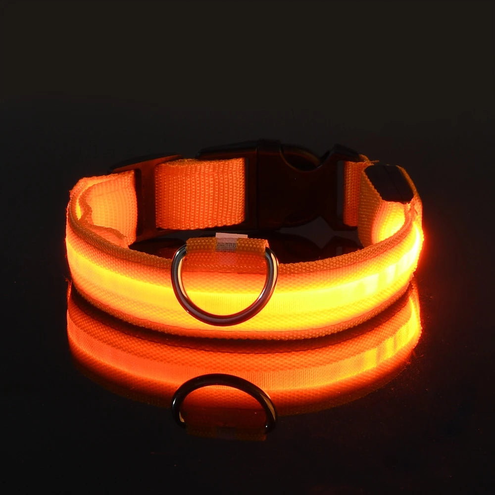 Nylon LED Luminous Fluorescent Pet Dog Collar