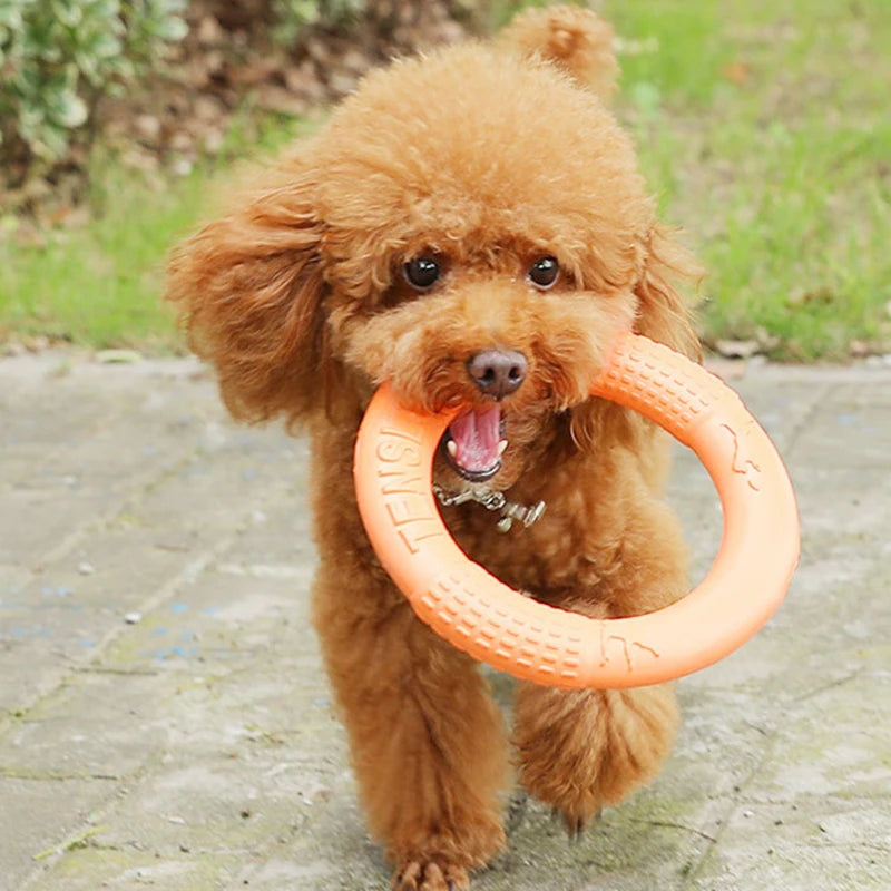 Pet Flying Ring Disk toys