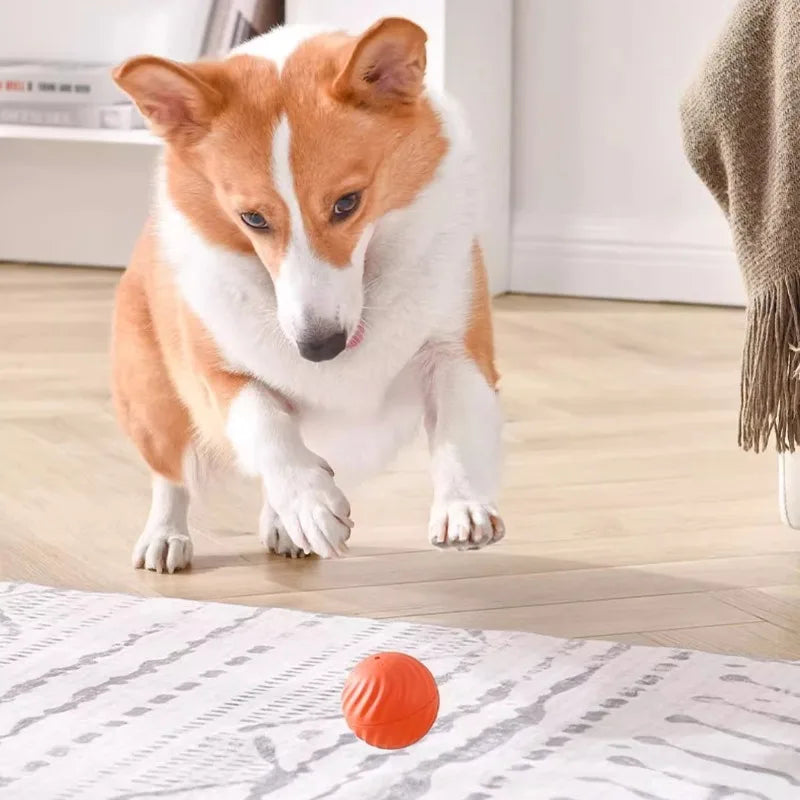 USB Rechargeable Automatic Moving Dog Toy Ball