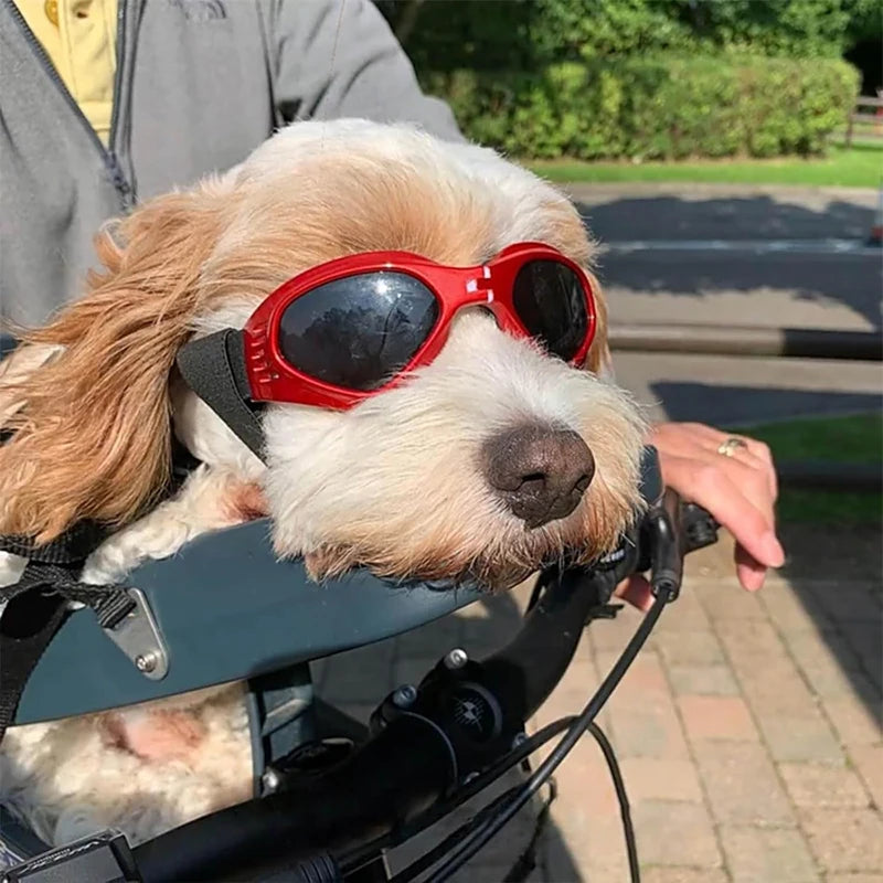 Foldable Pet Dog Goggles
