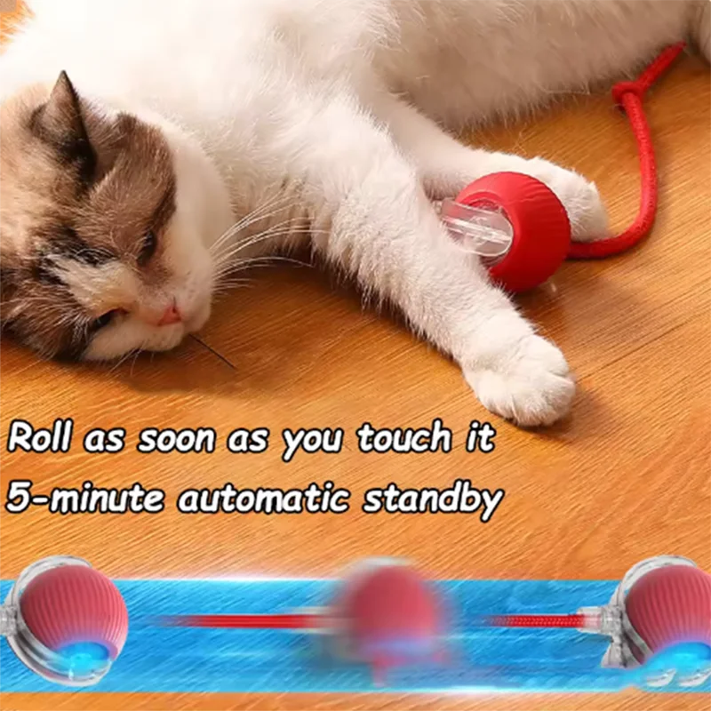 Automatically Teasing Cat Ball