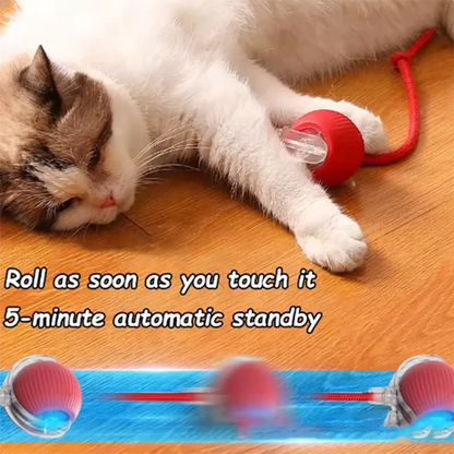Automatically Teasing Cat Ball