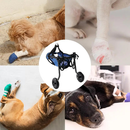Adjustable Pet Rehabilitation Walking Wheelchair