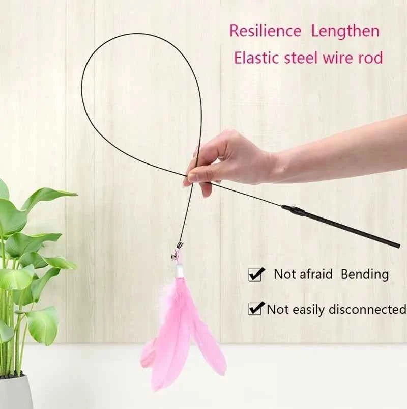 Cat Teaser Toy