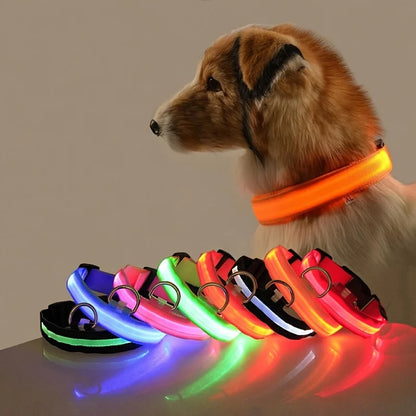 Nylon LED Luminous Fluorescent Pet Dog Collar