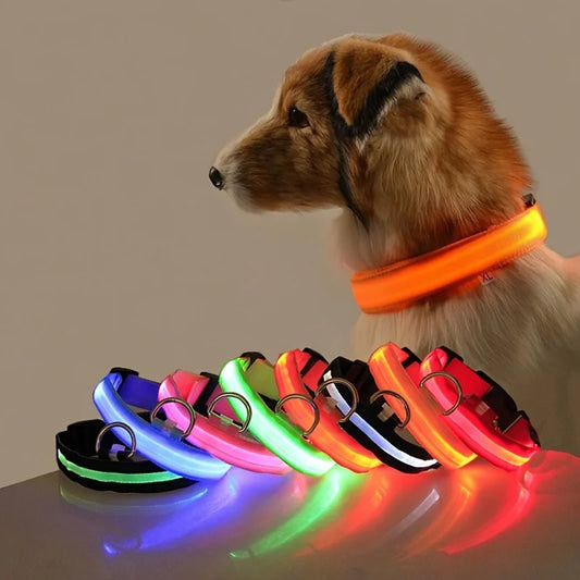 Nylon LED Luminous Fluorescent Pet Dog Collar