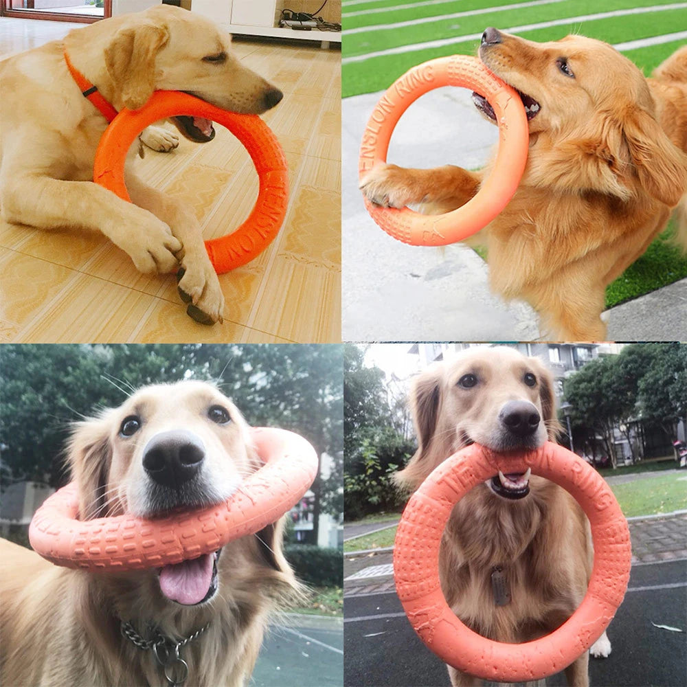 Pet Flying Ring Disk toys