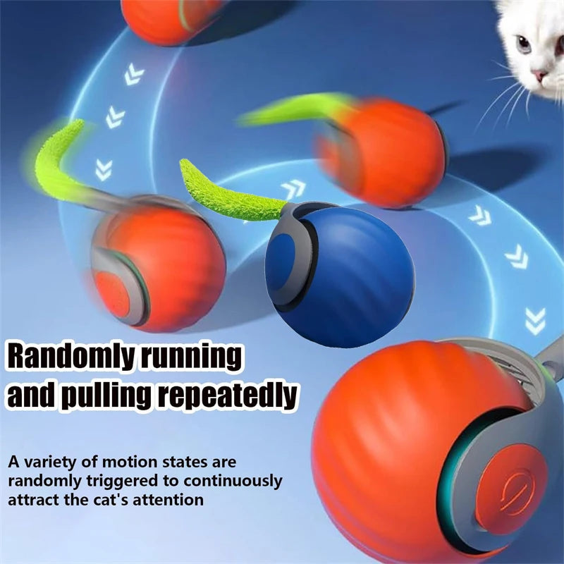 Electric Catnip Ball Training Toy