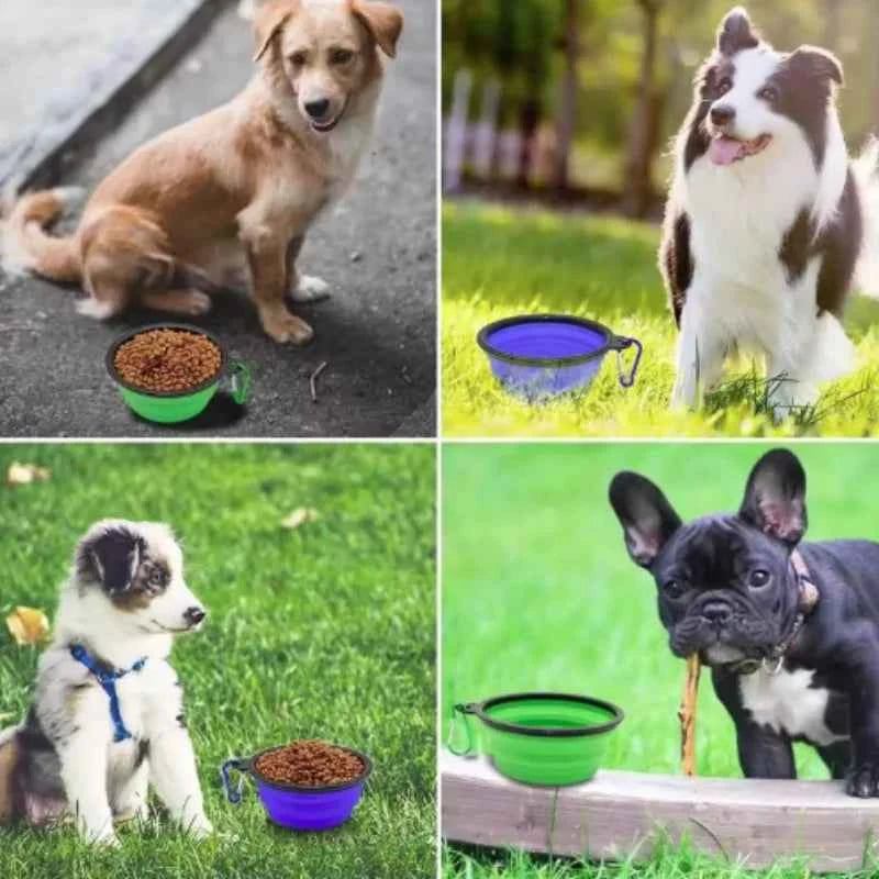 Portable Silicone Food & Water Bowl for Pets