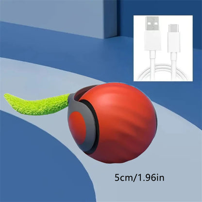 Electric Catnip Ball Training Toy