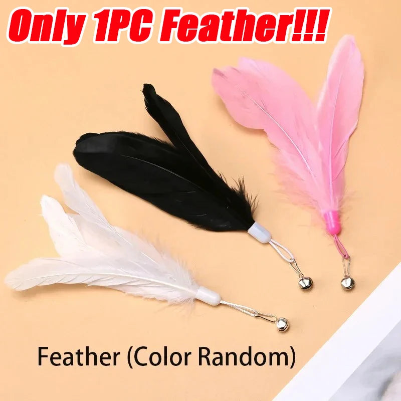 Cat Teaser Toy